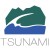Tsunami Solutions Logo